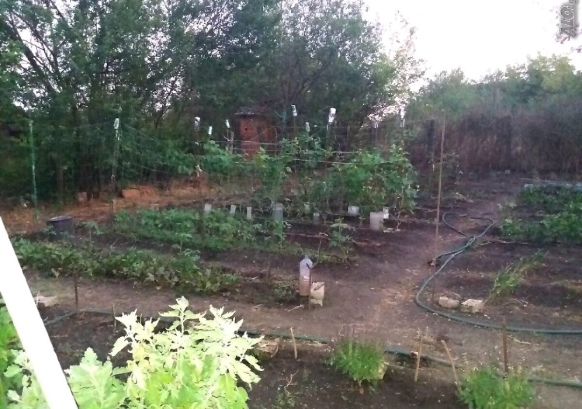 Продава: Просторна къща с голям двор в с. Дюлево.