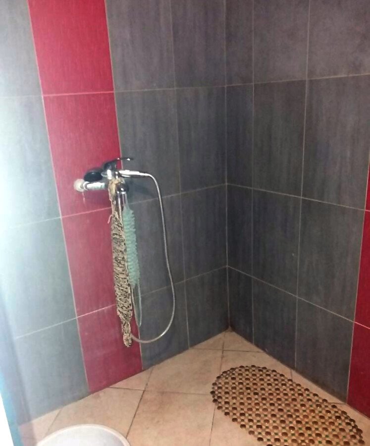 Продава: Просторна къща с голям двор в с. Дюлево.